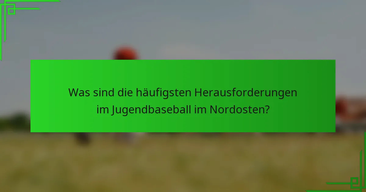 Was sind die häufigsten Herausforderungen im Jugendbaseball im Nordosten?