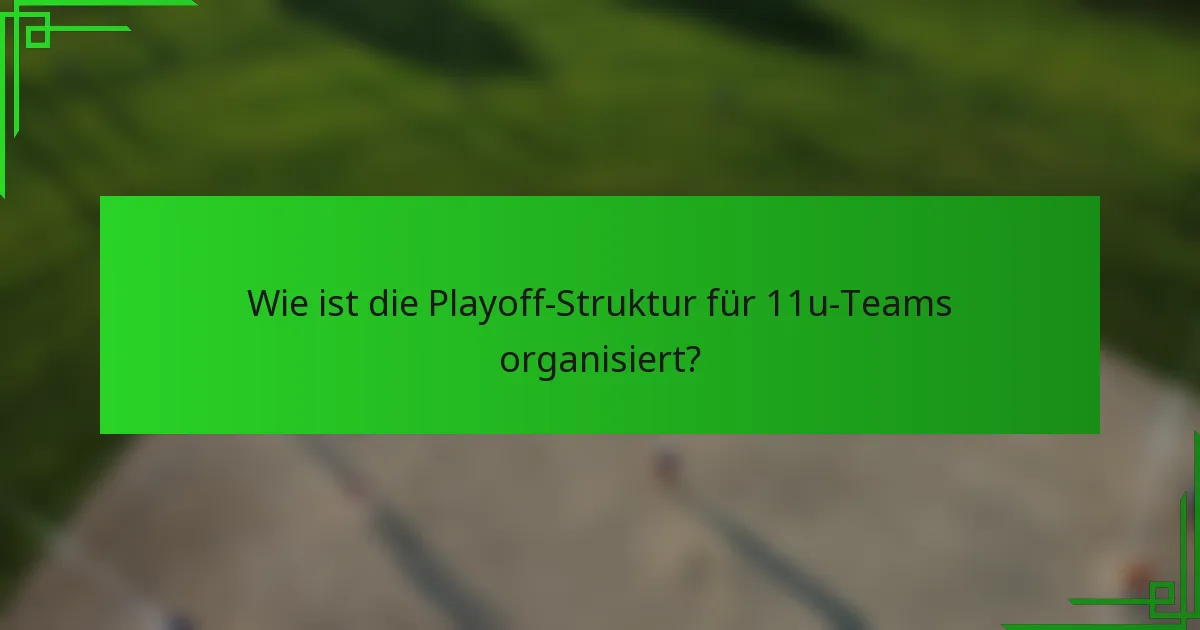 Wie ist die Playoff-Struktur für 11u-Teams organisiert?